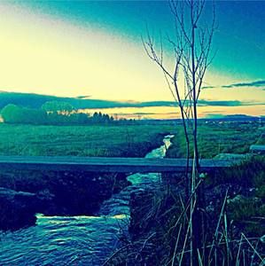 Meet your Posher, Elijah